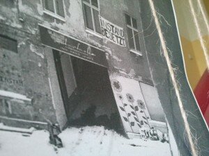 Anfänge in Schnee mit Sonnenblumen