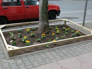 Blümchen hier, Blümchen da, einfach schön!